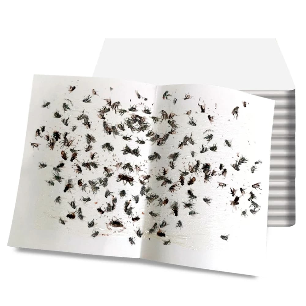 Sac de 50 feuilles de papier collant pour attraper des mouches, autocollants collants pour piéger de