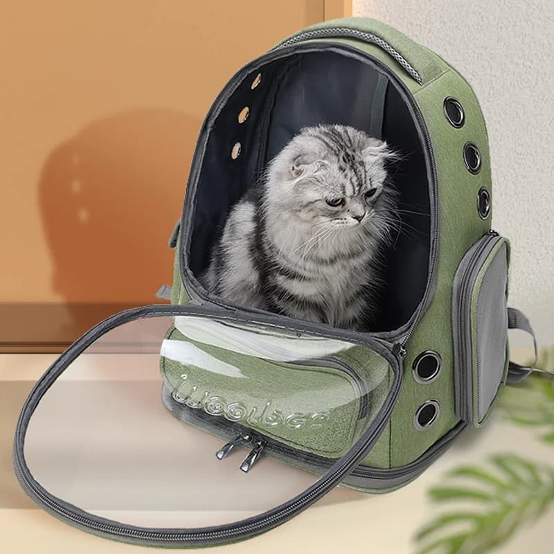 Sac de transport Transparent pour animaux de compagnie, sac à dos de voyage en plein air pour chats,