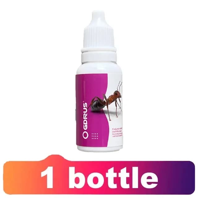 Le gel piège à fourmis peut éliminer rapidement les fourmis