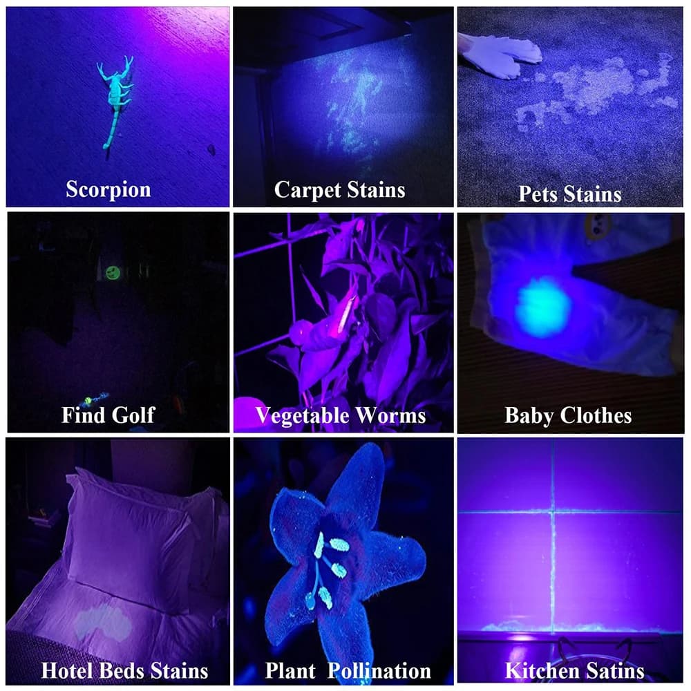 Mini lampe de poche LED UV portable, lampe noire ultraviolette, inspection d'argent, stylo avec clip