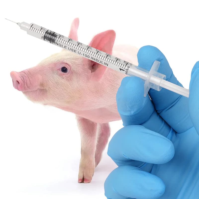 50Pcs/Pack 0.3ML 0.5ML 1ML Animal Syringe with Lab Supplies Farm Animal Cattle Sheep Horses Cat Dog 