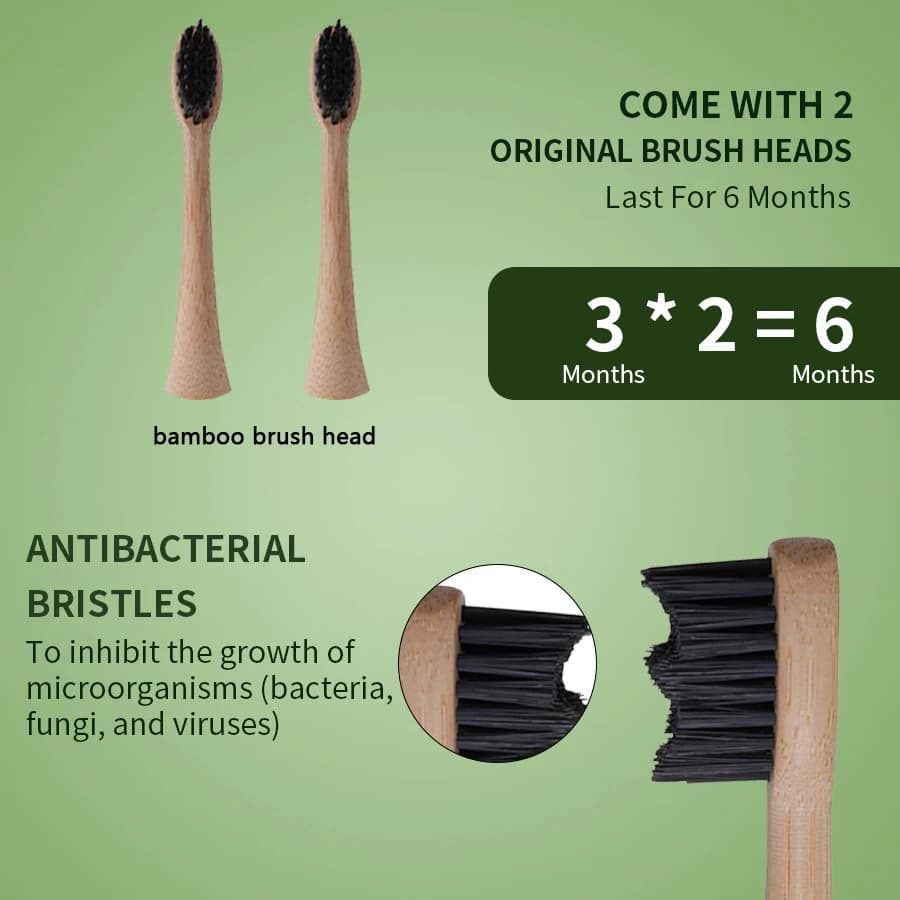 Brosse à dents électrique sonique en bambou écologique, charge rapide USB, 5 modes intelligents, éta