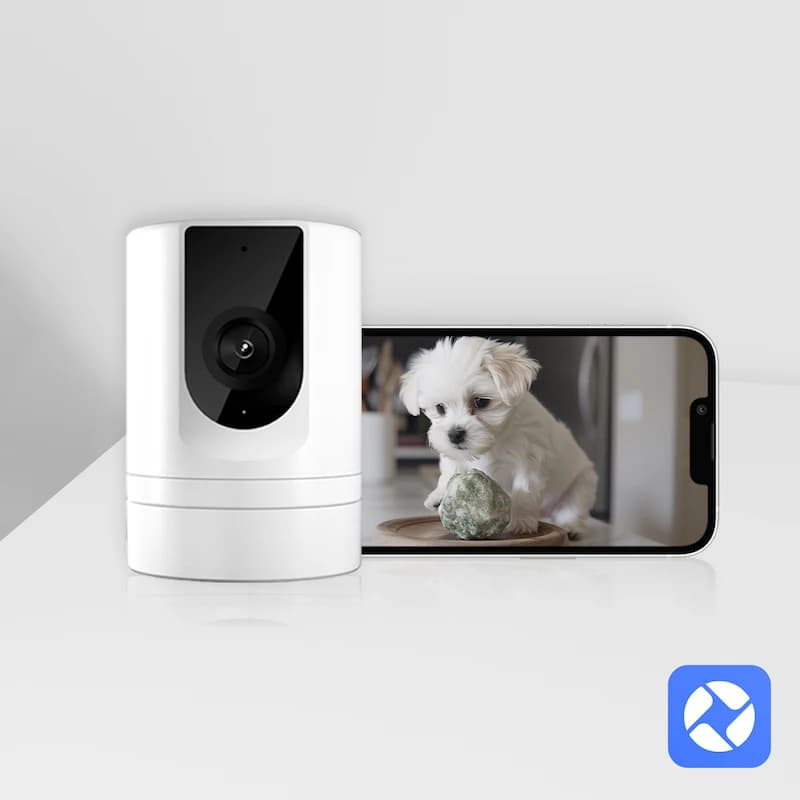 Ease Life-Caméra de sécurité intérieure pour bébé, 2.4GHz, 1080P, avec application téléphone, détect