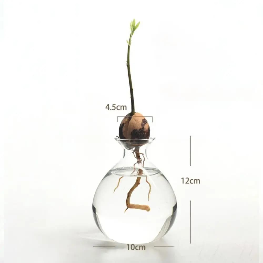 Kit de plantes en verre avec autocollants pour les amateurs de jardinage, vase de démarrage pour les