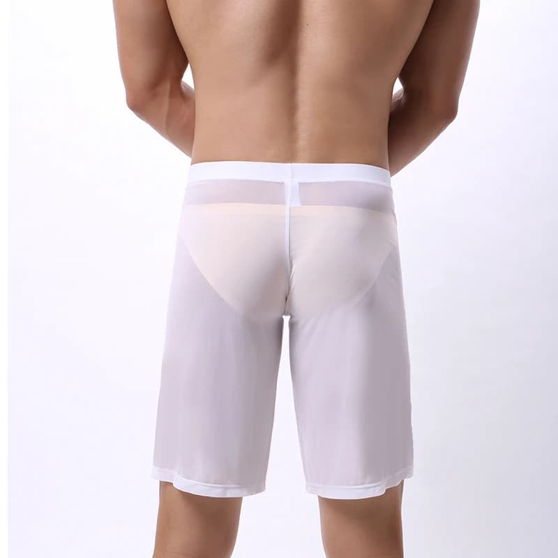 Boxer pour hommes, jambes longues, respirant, en maille transparente, pour entraînement sportif, séc
