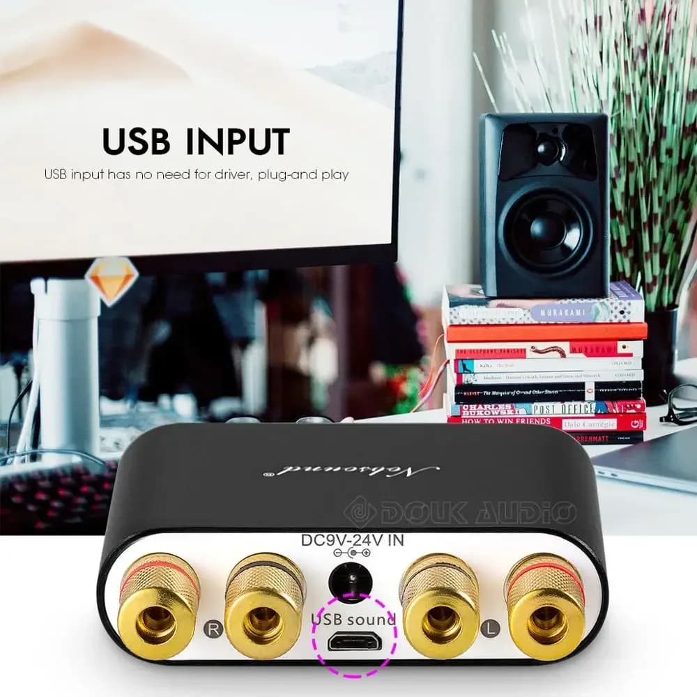 Douk Audio NS-10G Mini Bluetooth 5.0 TPA3116 Amplificateur de Puissance Numérique HiFi Stéréo Audio 