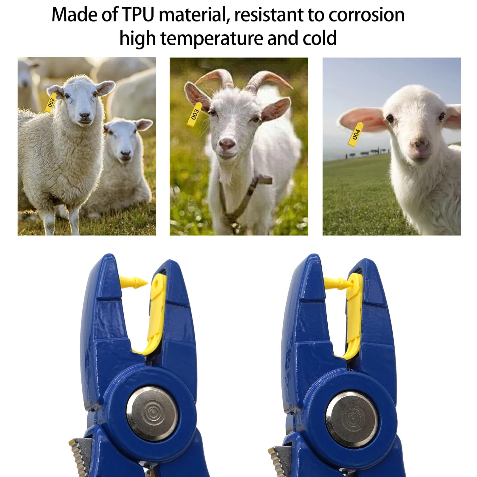 Oreillettes de mouton, 100 pièces, pinces pour étiquette d'oreille, animaux, chien, lapin, matériau 