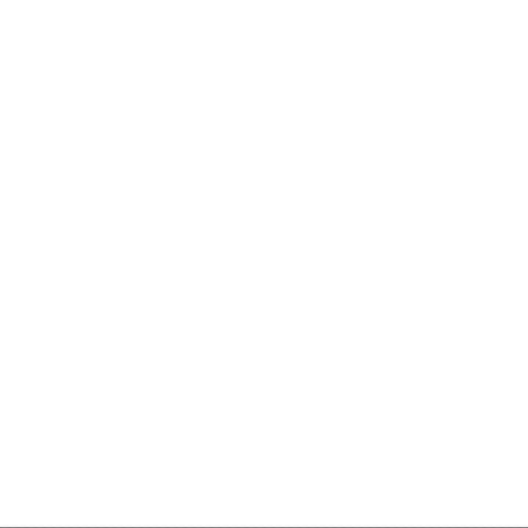 Lien de commande de paiement spécifique au client VIP
