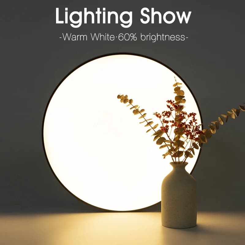 Plafonniers LED intelligents 50W 80W télécommande App Dimmable résistant à la poussière et à l'humid