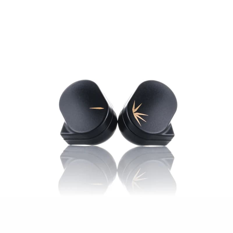 Moondstress- Écouteurs intra-auriculaires CHU DSP avec poignées, pilote dynamique, moniteur USB, éco