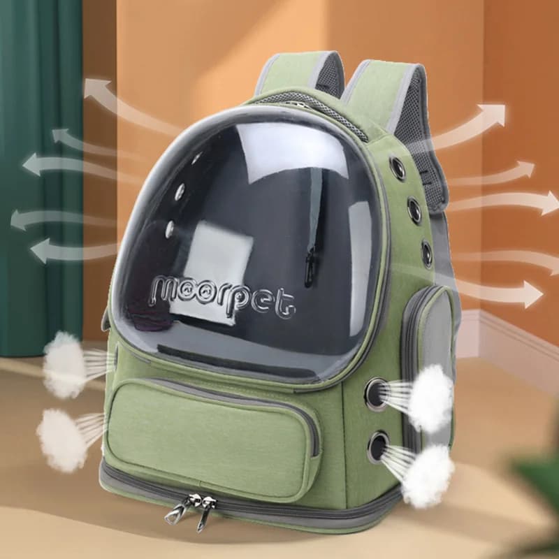Sac de transport Transparent pour animaux de compagnie, sac à dos de voyage en plein air pour chats,
