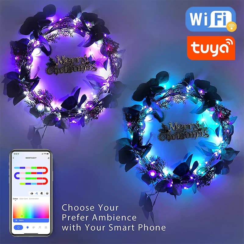 TUYA USB LED chaîne lumières de noël WS2812B RGBIC lumière WIFI polychrome adressable individuelleme