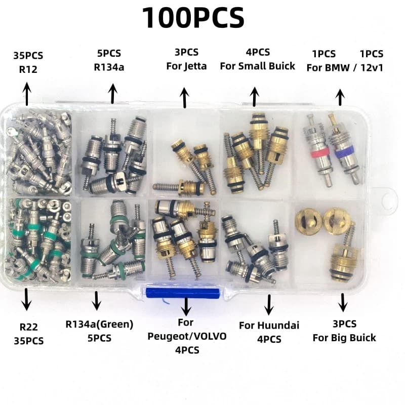 100 pcs/boîte R134A Voiture A/C Noyau Vannes Climatisation Automobile Assortiment Kit 1