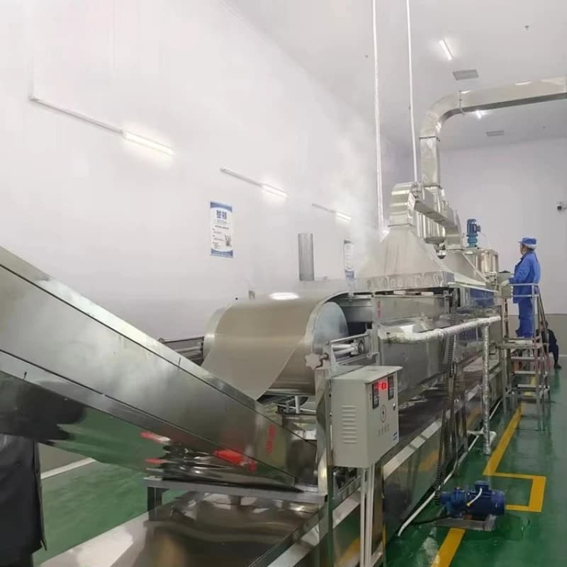 Ligne de production de pâtes fraîches commerciales personnalisable 150-500 kg/h avec extrudeuse et c