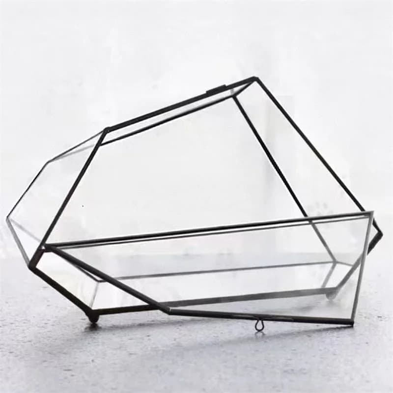 Terrarium en verre géométrique écologique pour micro-écologies de forêt tropicale, avec mousse et fo