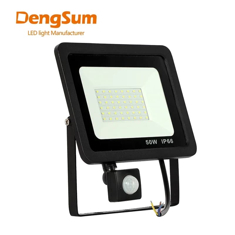 Projecteur Led à Induction 10W 20W 30W 50W 100W avec capteur PIR réglable 110V 220V, éclairage extér