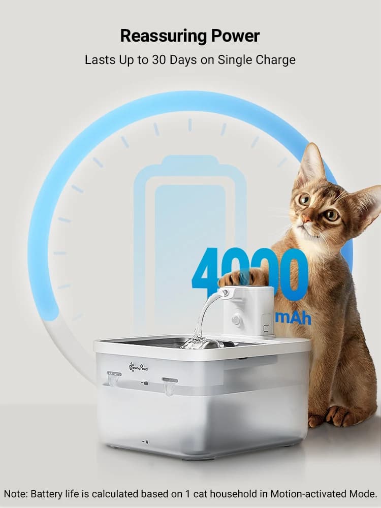 DownyPaws 2,5 L fontaine d'eau automatique en acier inoxydable pour chat 4000 mAh abreuvoir sans fil