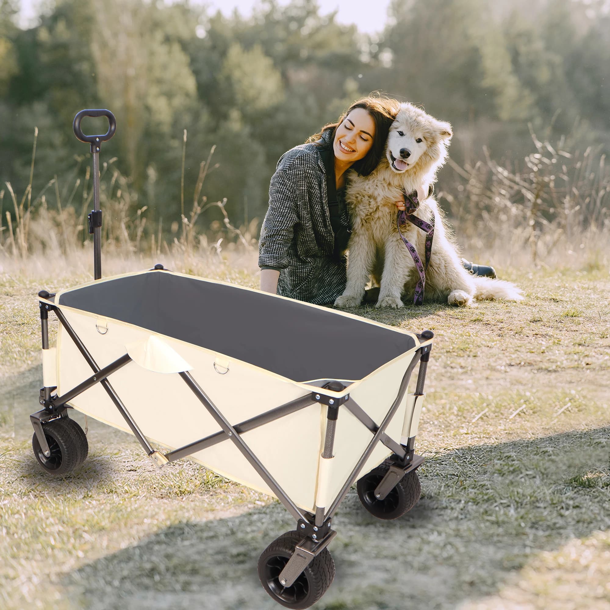Chariot de plage utilitaire pour le sable, chariot pliant RapDuty, grandes roues, poignée réglable, 