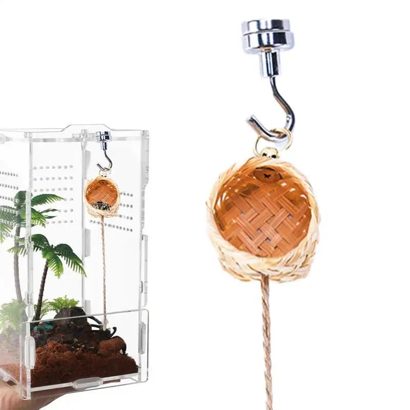 Abri d'araignée naturel pour animaux de compagnie, maison d'araignée sautante, cachette, décoration