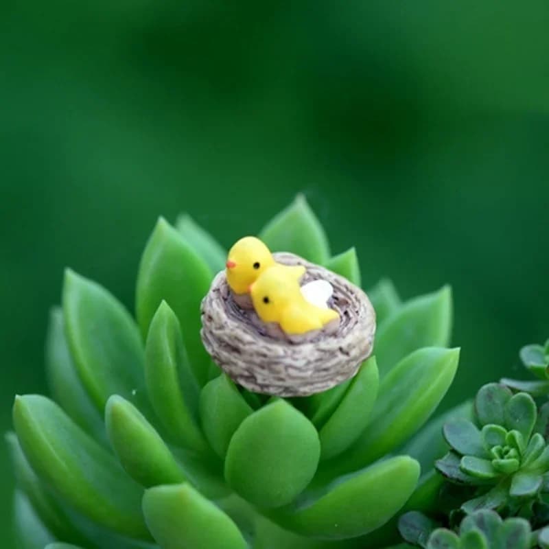 Mini nid avec oiseaux, bricolage, jardin féerique, Miniatures, Gnomes, mousse, Terrariums, Figurines