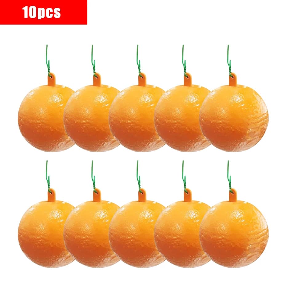Pièges à mouches à fruits en boule, 10 pièges collants suspendus pour intérieur et extérieur, maison