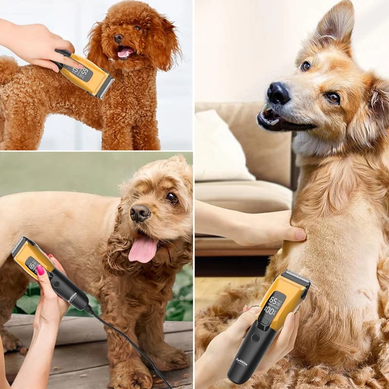 Tondeuse professionnelle pour animaux de compagnie, rasoir de toilettage pour chiens et chats, Machi