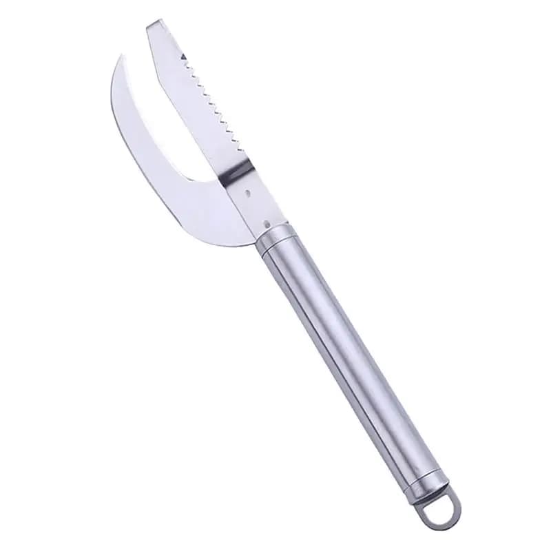 Brosse à peau de poisson 2 en 1, élimine rapide, grattoir à écailles de poisson, outil de raboteuse,