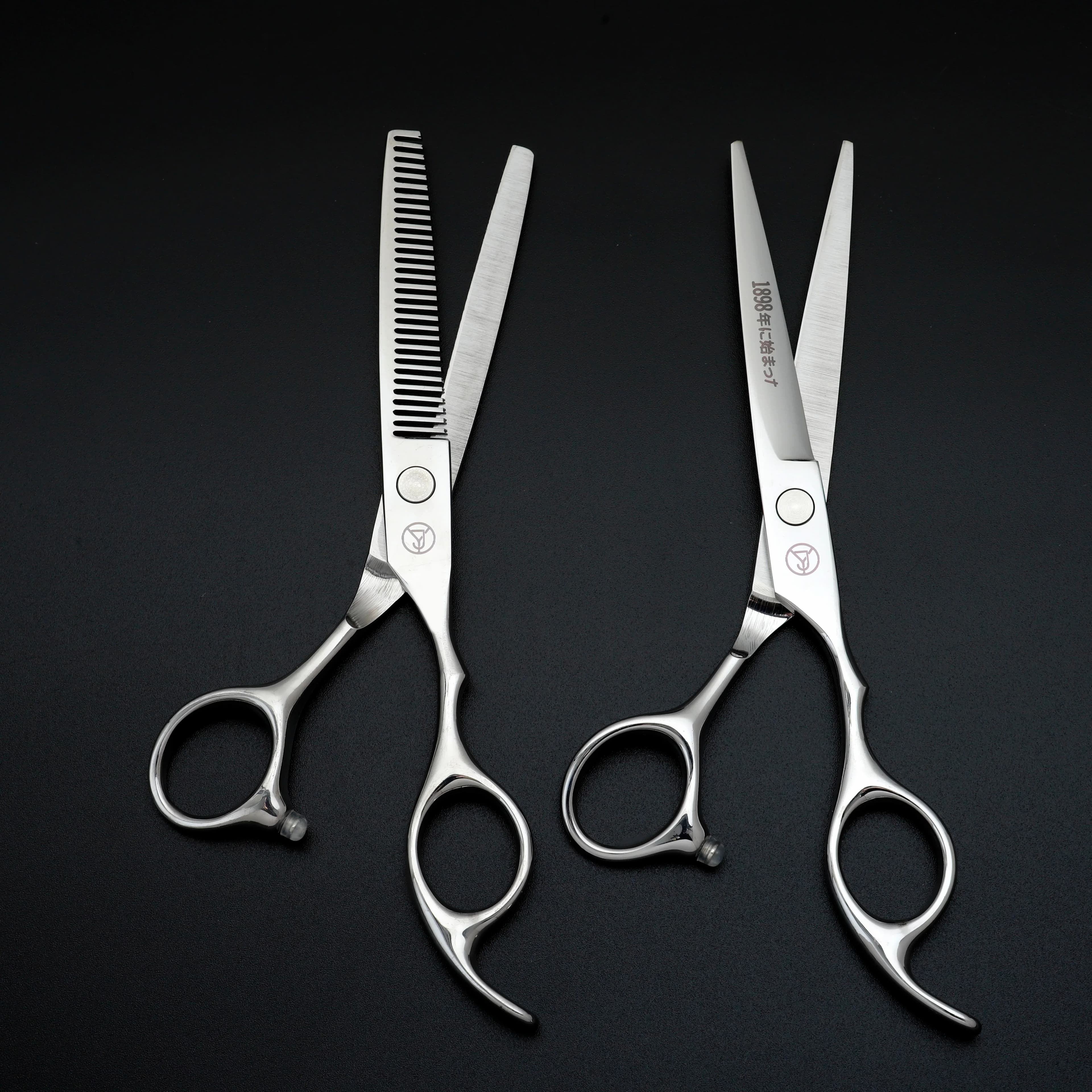 Ensemble de ciseaux de coiffure professionnels, ciseaux de coiffure en acier inoxydable japonais arg