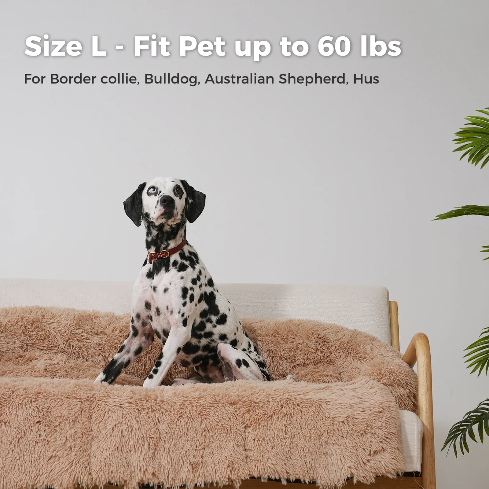 Polymères de lit moelleux portables pour animaux de compagnie, canapé pour chien, couverture chaude 