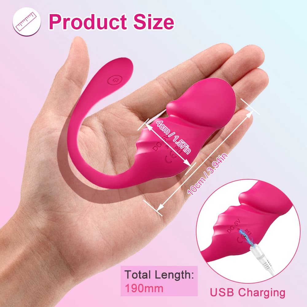 Oeuf vibrateur Bluetooth portable pour femme, gode, stimulateur de clitoris, culotte vibrante à dist