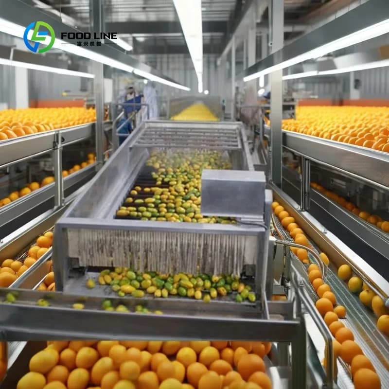 Ligne de production de jus de fruits complète automatique personnalisée, état neuf, machine à fabriq