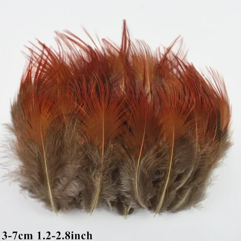 Plumes de faisan de paon naturel, attrape-rêves, accessoires artisanaux de fête, carnaval, vacances,