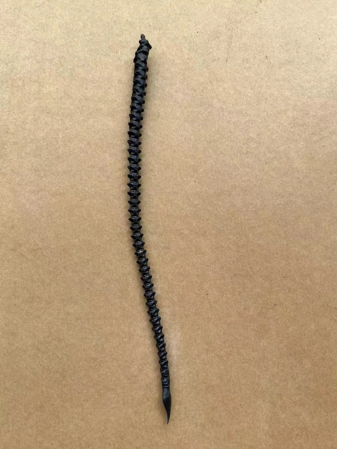 Têtes de poupée Monster Doll à tête chauve, visages rares, maquillages de poupée, corps de poupée Sl