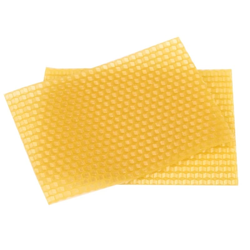 Ruche pour apiculture, 50 pièces, cadre de base en nid d'abeille, ruche de jardin, outils pour l'api