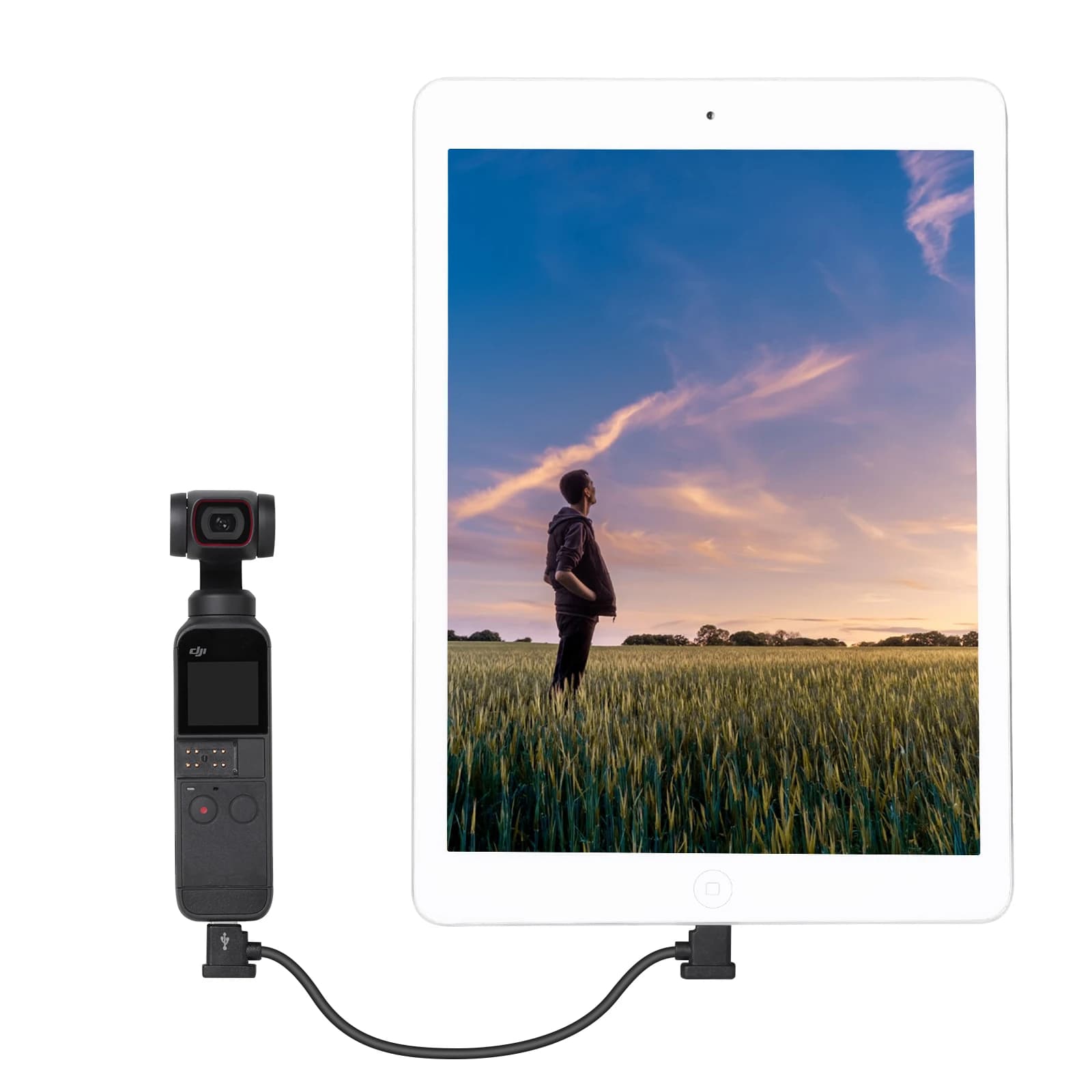Câble Micro type-c pour télécommande et données, compatible avec DJI Mini 3 Pro /Mavic 3/Mini 2 /Mav