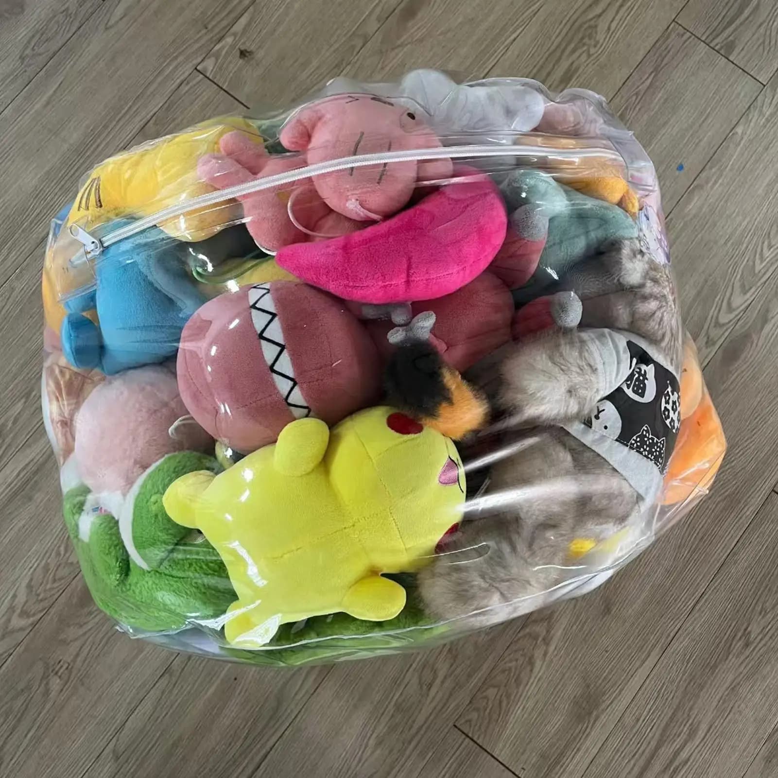 Chaise de rangement transparente pour animaux, siège en peluche avec housse étanche pour chambre d'e