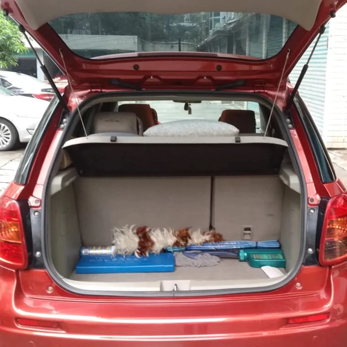 Amortisseurs à gaz pour coffre arrière de voiture, 2 pièces, tiges de Support de levage, pour Suzuki