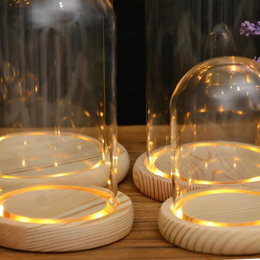 Dôme de présentation en verre avec base en bois et éclairage LED, vase transparent pour la décoratio