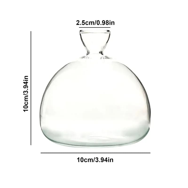 Vase hydroponique Transparent coloré d'avocat, Vase de démarrage de graines d'avocat en verre, Kit d