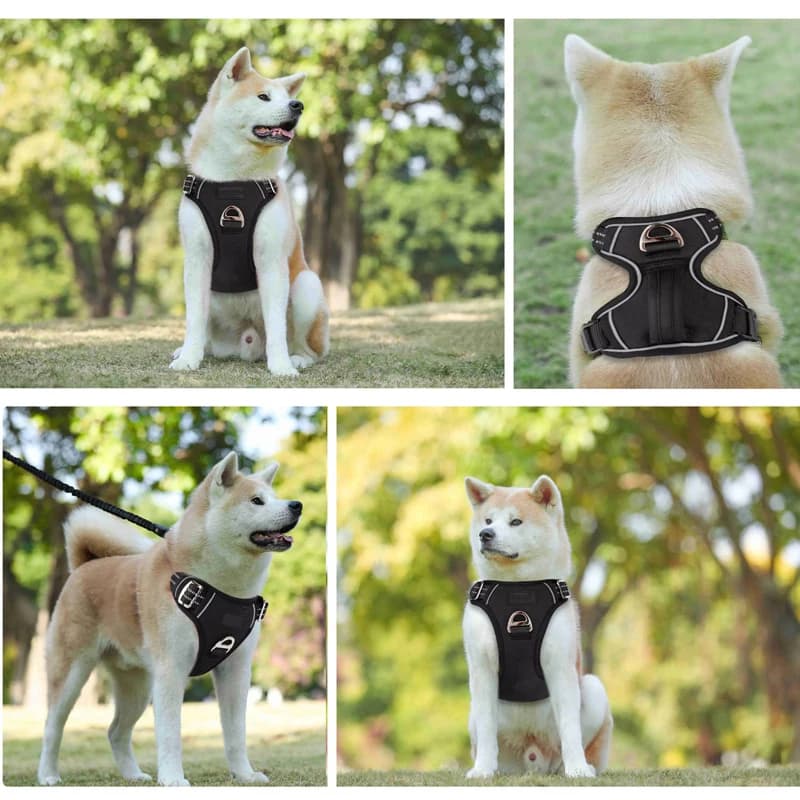 Benepaw – harnais pour chien sans traction, poignée de contrôle facile, harnais réfléchissant pour a