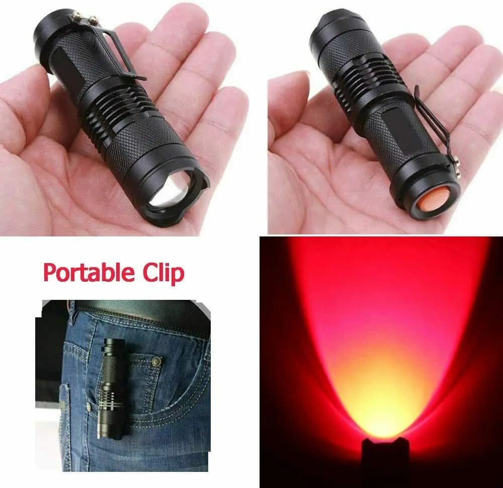 Mini lampe de poche LED Dulflashlights, lumière rouge, bleue, verte, lampe de poche d'urgence, torch