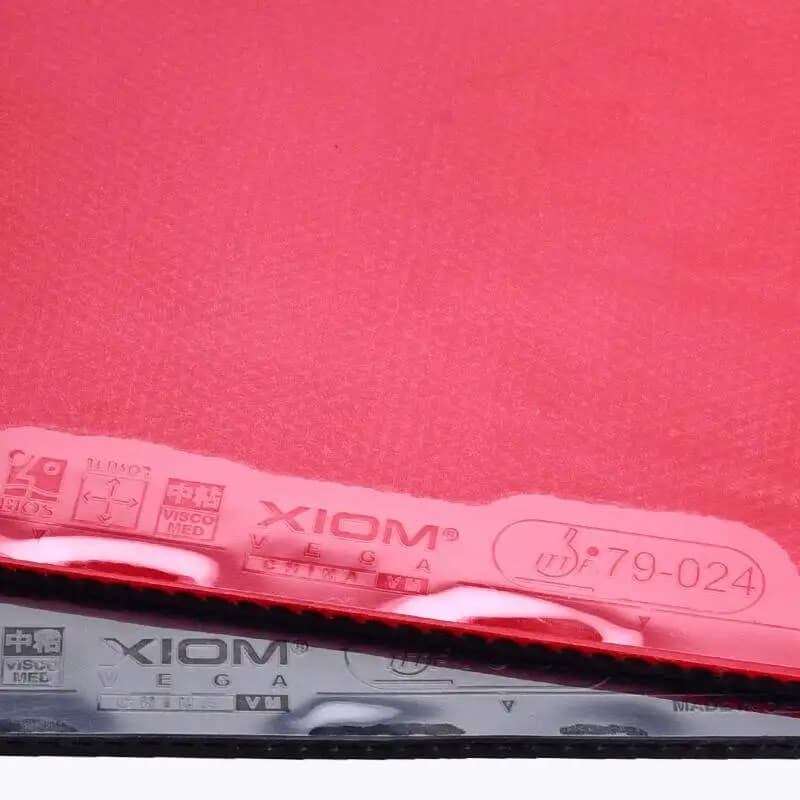 XIOM VEGA CHINA VM Tennis de Table boucle en caoutchouc boutons avec éponge Ping-Pong Tenis de mesa