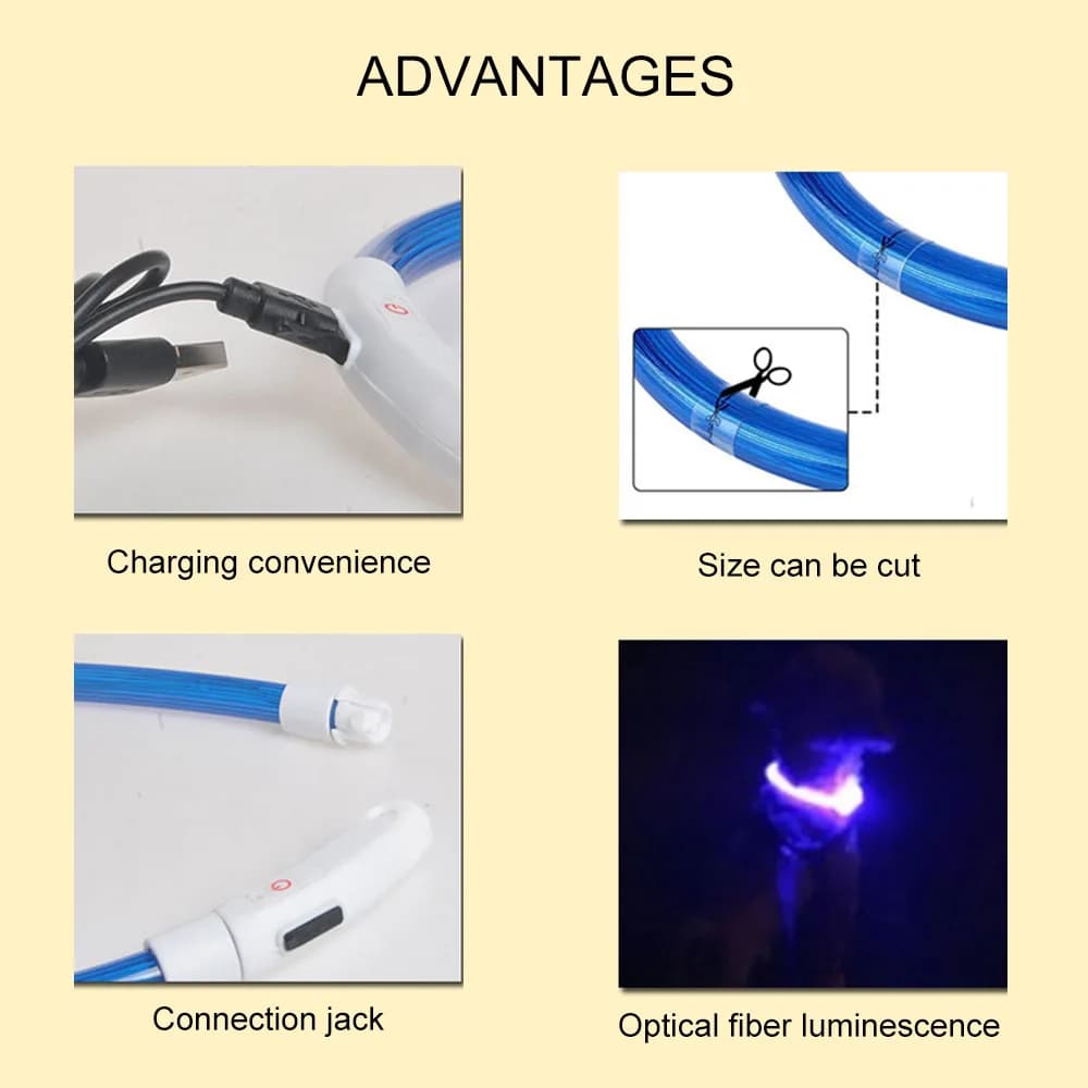Collier de chien Led Usb collier de Charge lumineux de nuit pour chien de compagnie Led sécurité noc