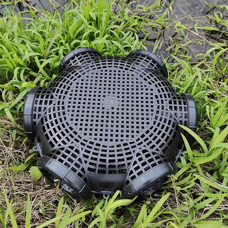 Cage à anguilles jaunes pour attraper Loach à 6 trous, attrape-poisson mixte, filet de pêche en plei
