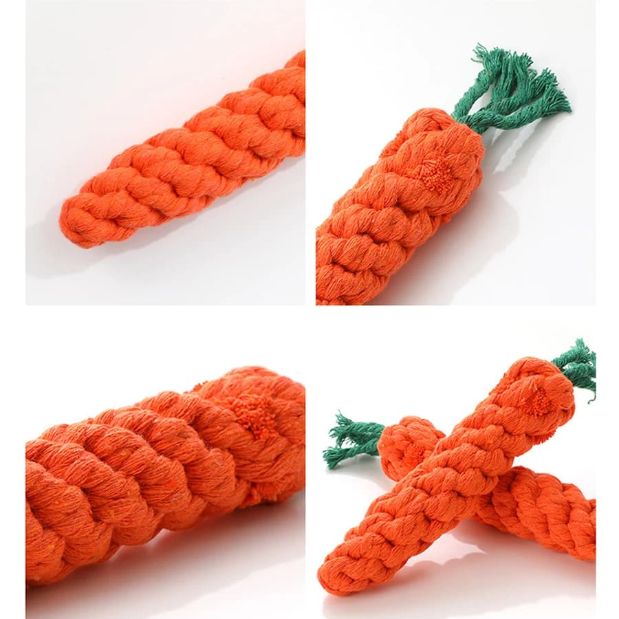 Jouets à mâcher pour petits chiens, jouets pour chiens de compagnie, livres, dents, chiot, carotte, 