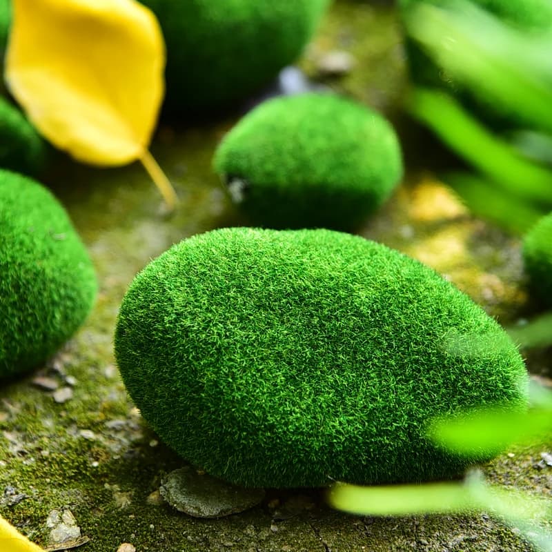 Accessoires pour fourmilière, décoration de micro-paysage pour fourmis, décoration de ferme à fourmi