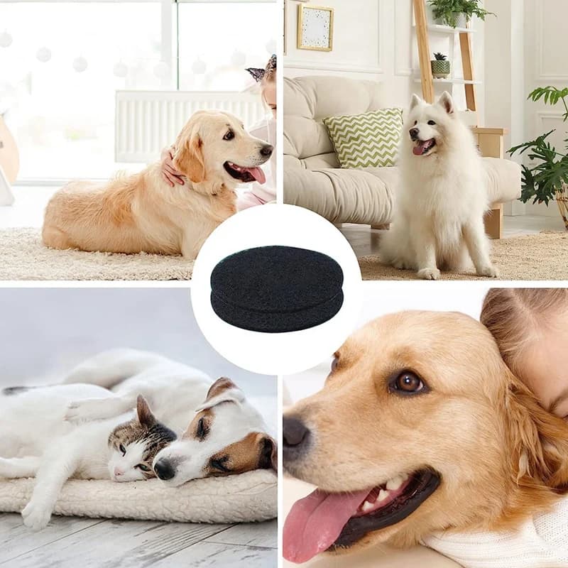 Pièces de rechange pour éponge de filtre Hepa, kit de toilettage pour animaux de compagnie et aspira