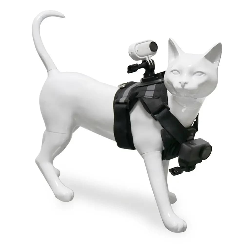 Harnais pour caméra pour chat, support photo pour chat, configuration double caméra en première pers