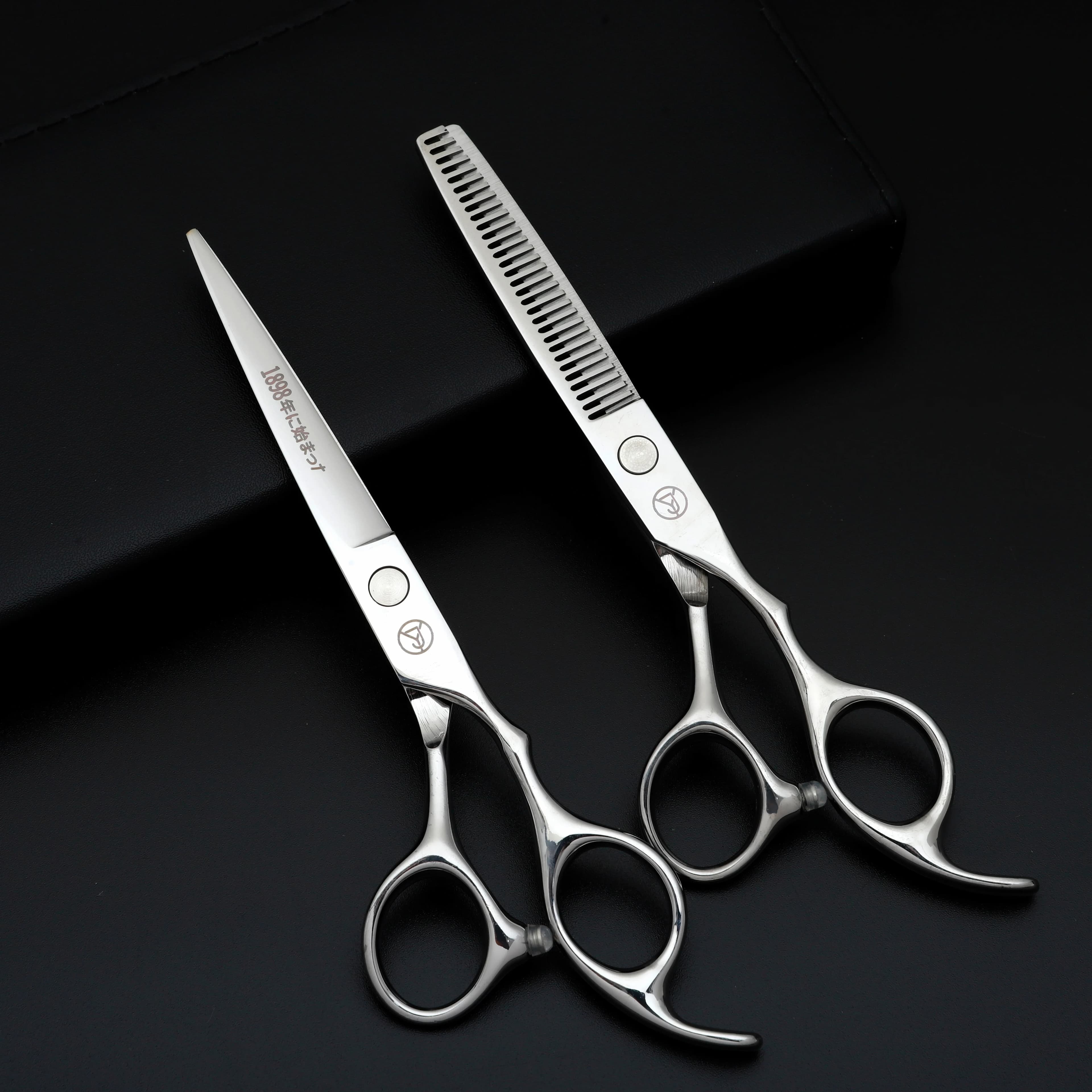 Ensemble de ciseaux de coiffure professionnels, ciseaux de coiffure en acier inoxydable japonais arg