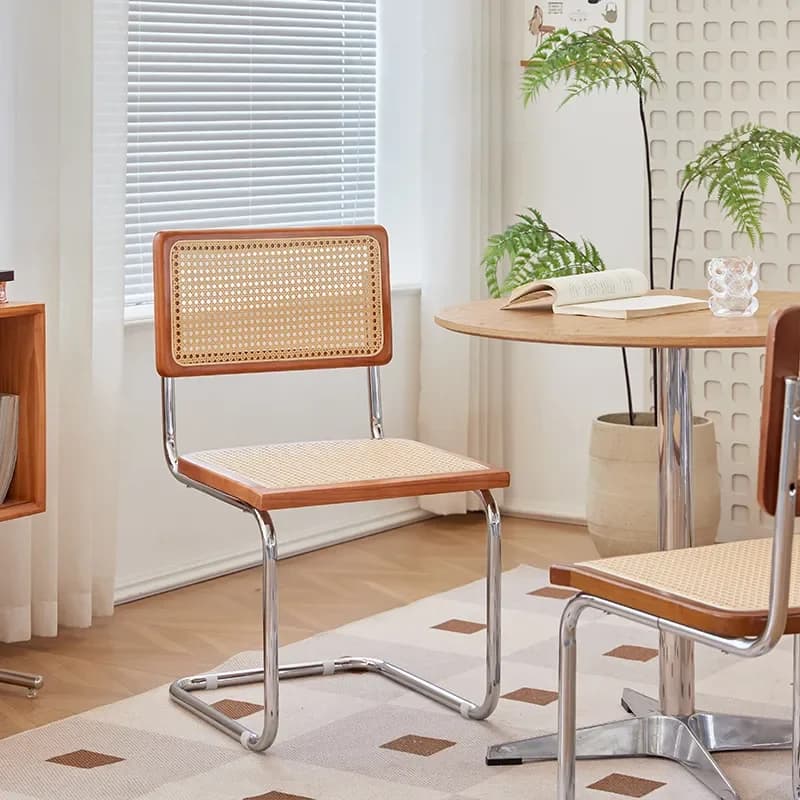 Chaises de salle à manger modernes du milieu du siècle avec cadre en métal, chaise de loisirs de plu
